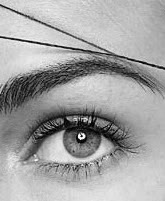 eyebrow